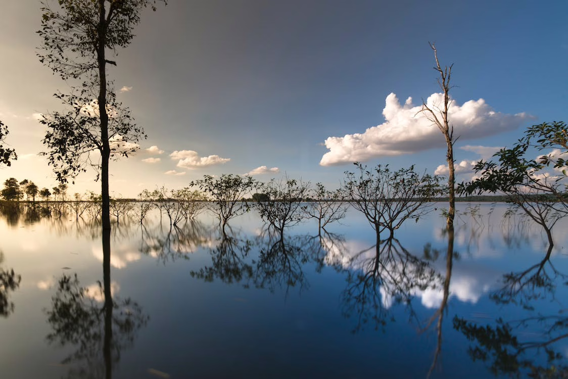 lake view